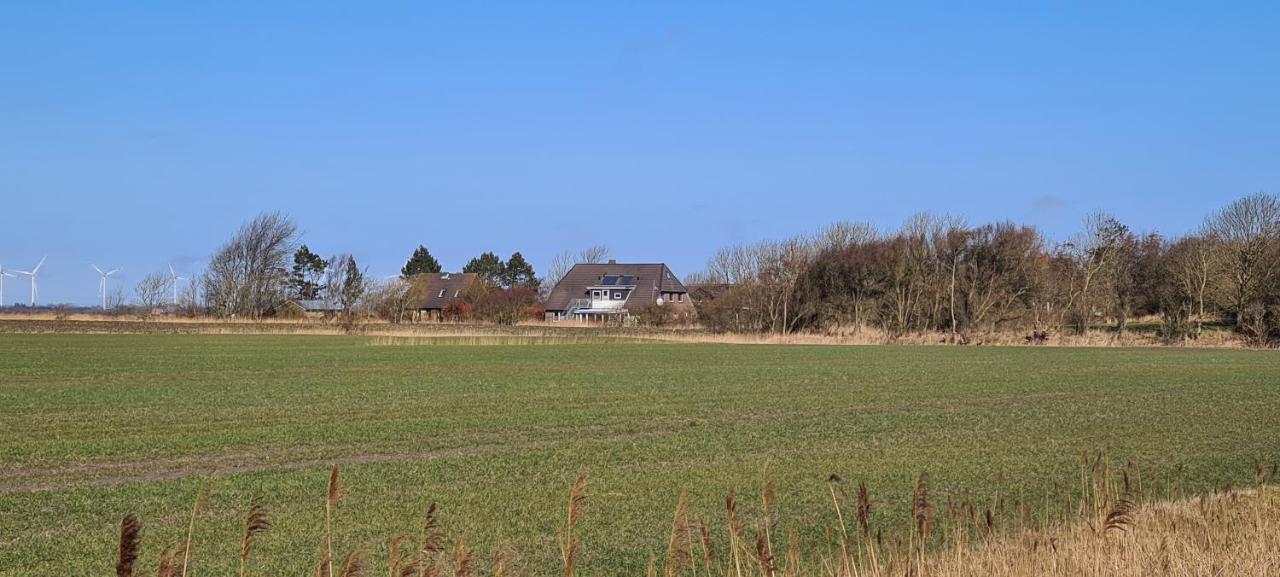 Apartment Haus Schau Ins Land Nah An Der Nordsee